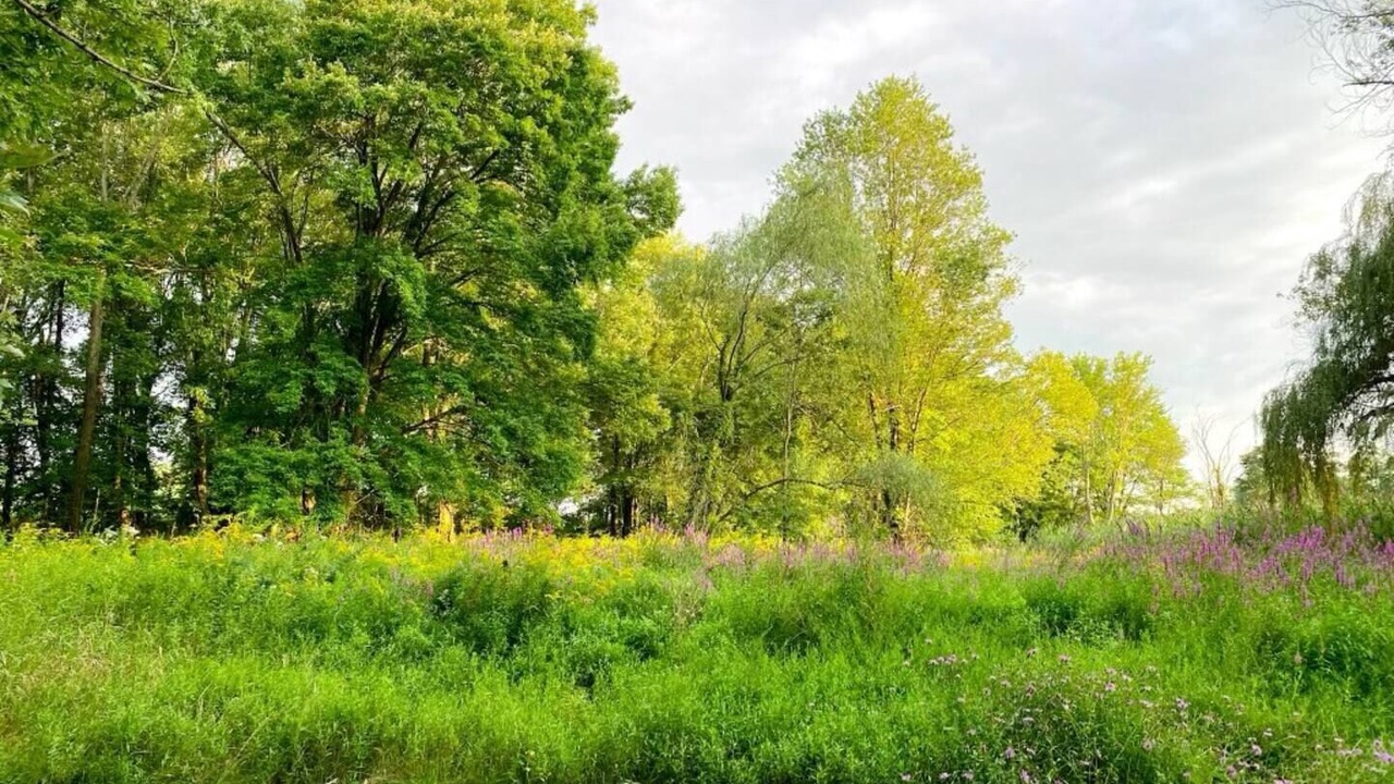Photo of Outdoor in Walden