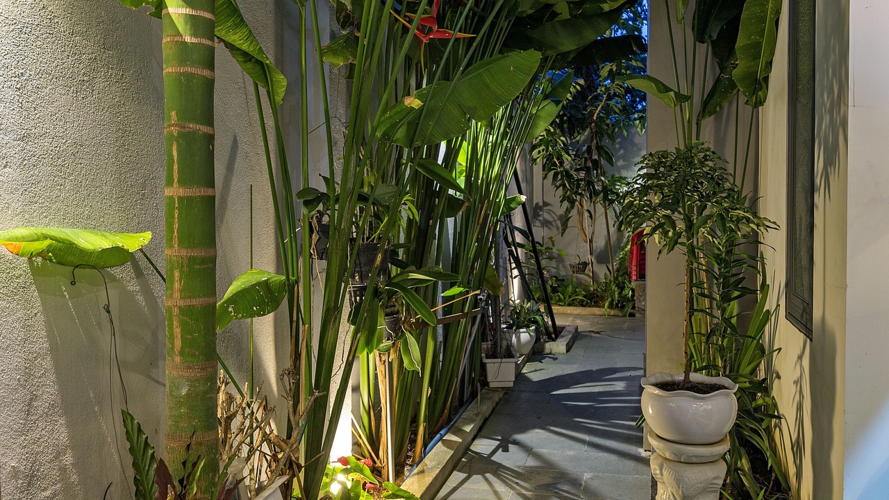 Photo of Outdoor in Cam Chau