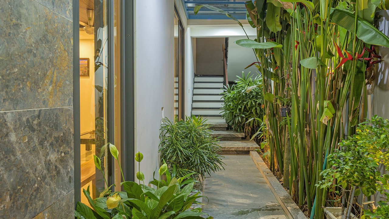 Photo of Outdoor in Cam Chau