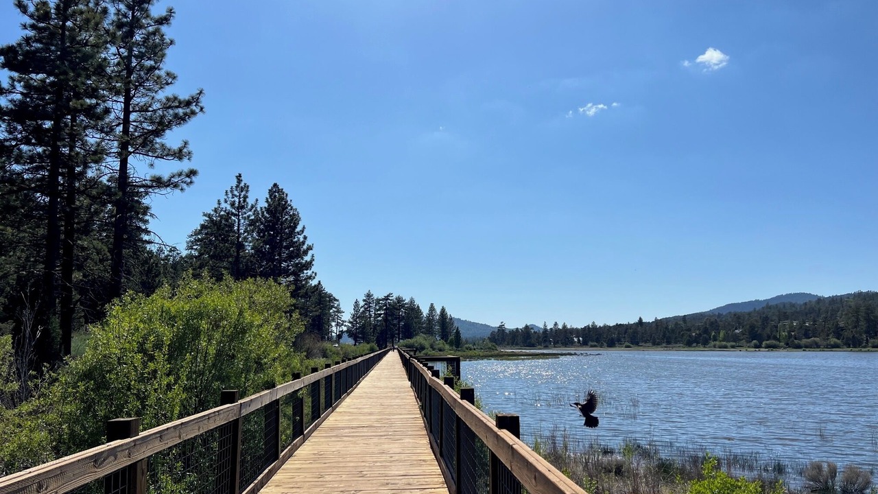 Photo of Outdoor in Big Bear City