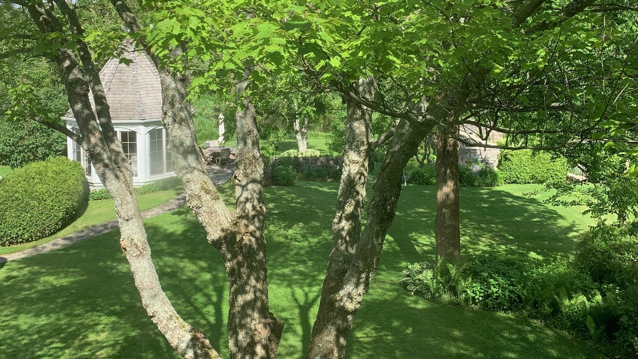 Photo of Outdoor in King