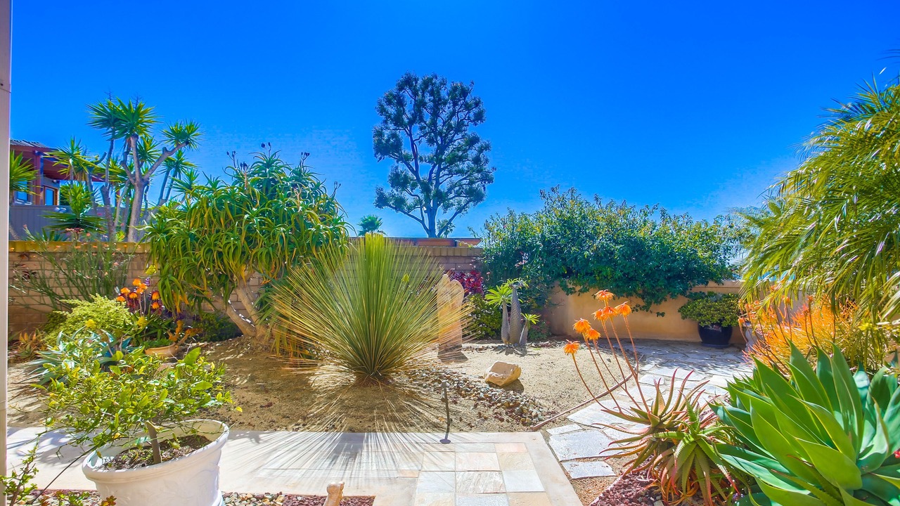 Photo of Outdoor in La Jolla Mesa