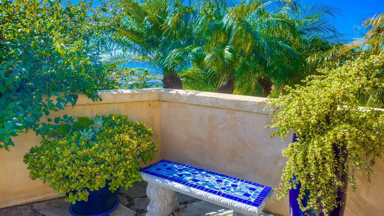 Photo of Outdoor in La Jolla Mesa