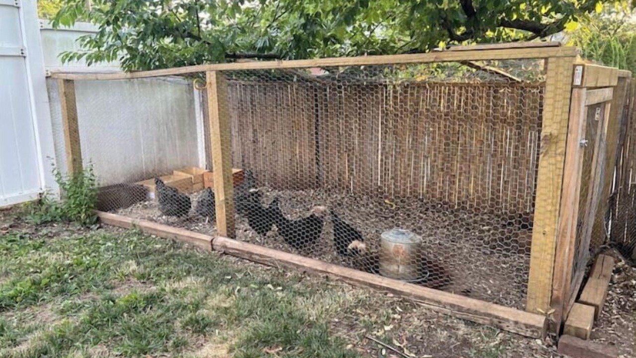 Photo of Outdoor in Teaneck