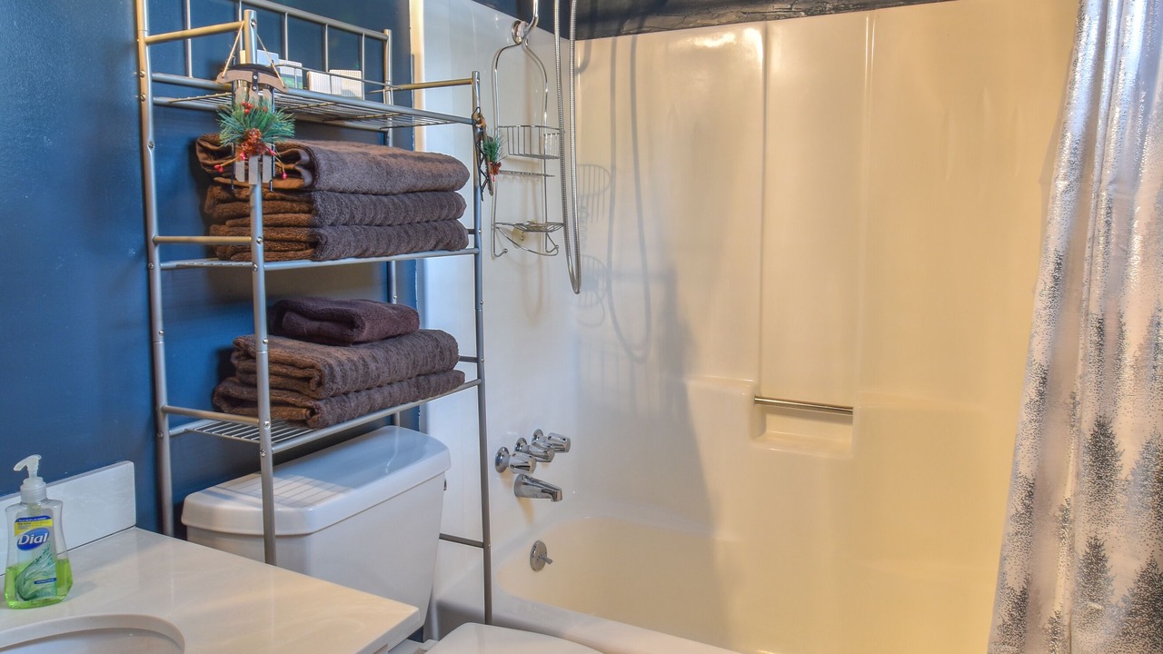 Photo of Bathroom in Green Valley Lake