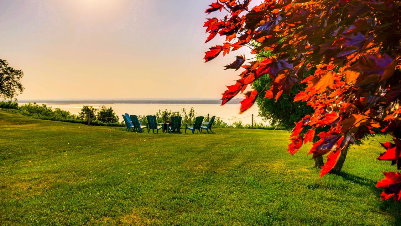 Photo of Others in Deschaillons-sur-St-Laurent