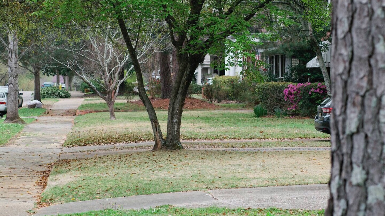 Photo of Others in Montgomery