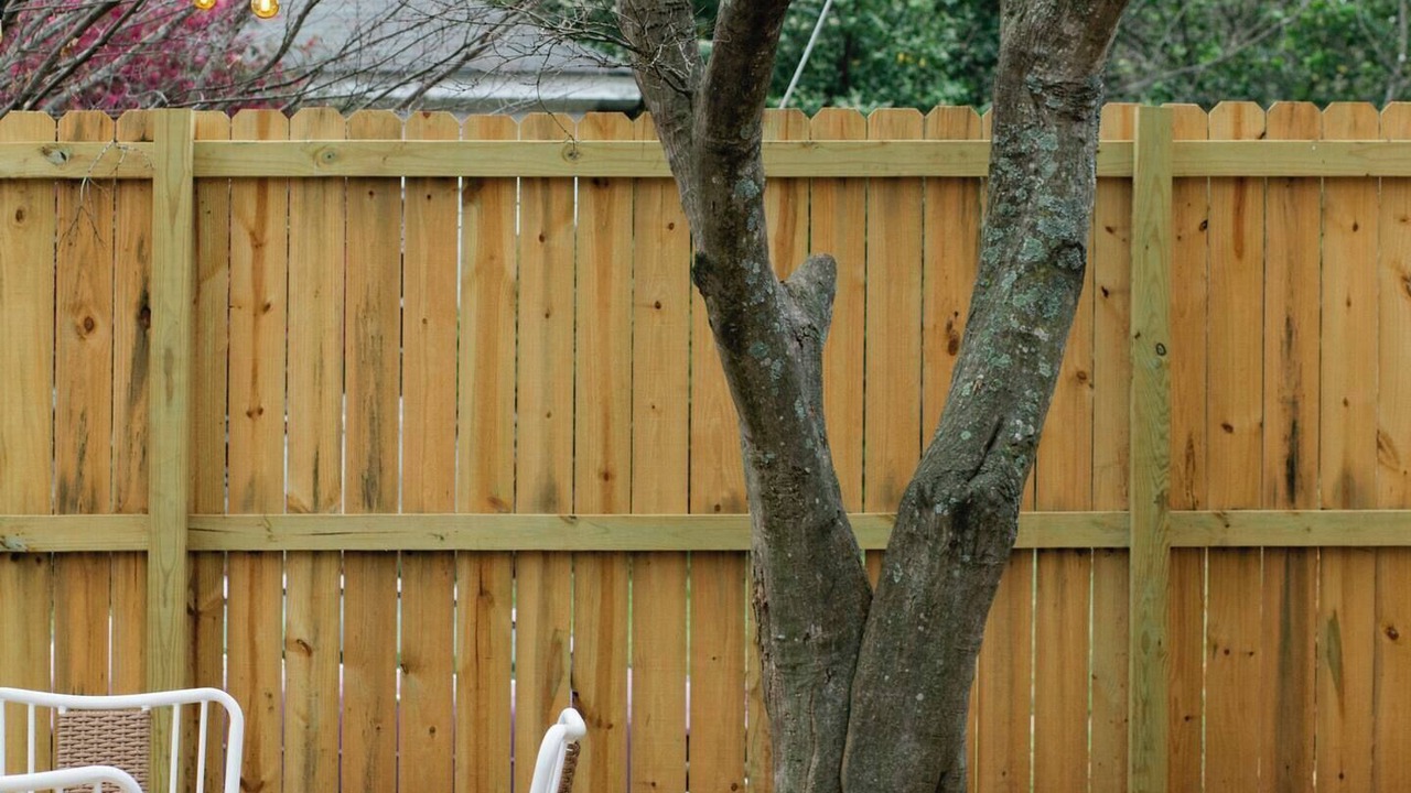 Photo of Others in Montgomery