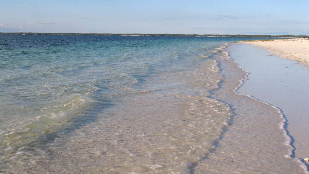 Photo of Others in Treasure Cay