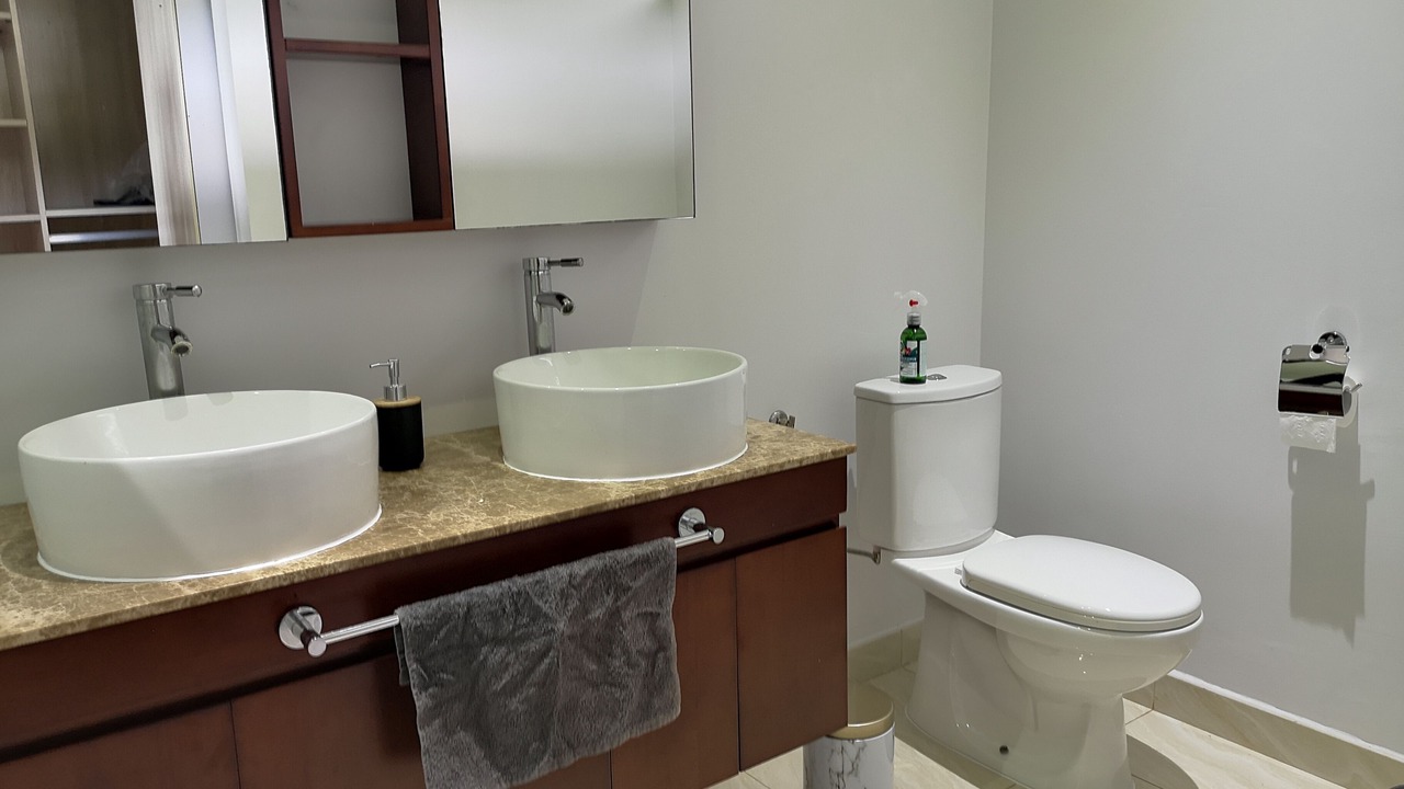 Photo of Bathroom in Faaa