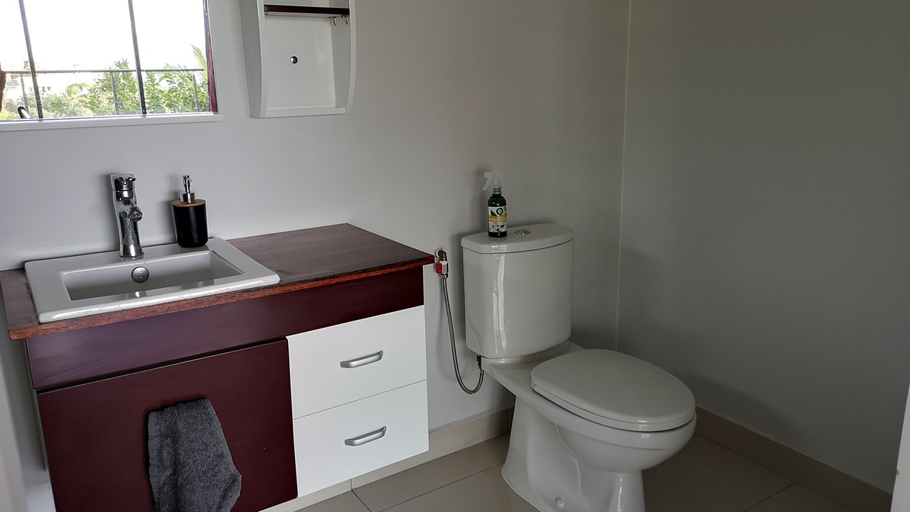 Photo of Bathroom in Faaa
