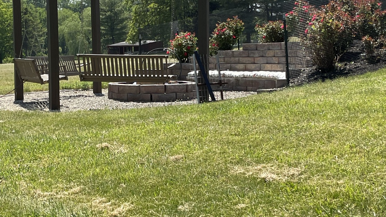 Photo of Others in Walden