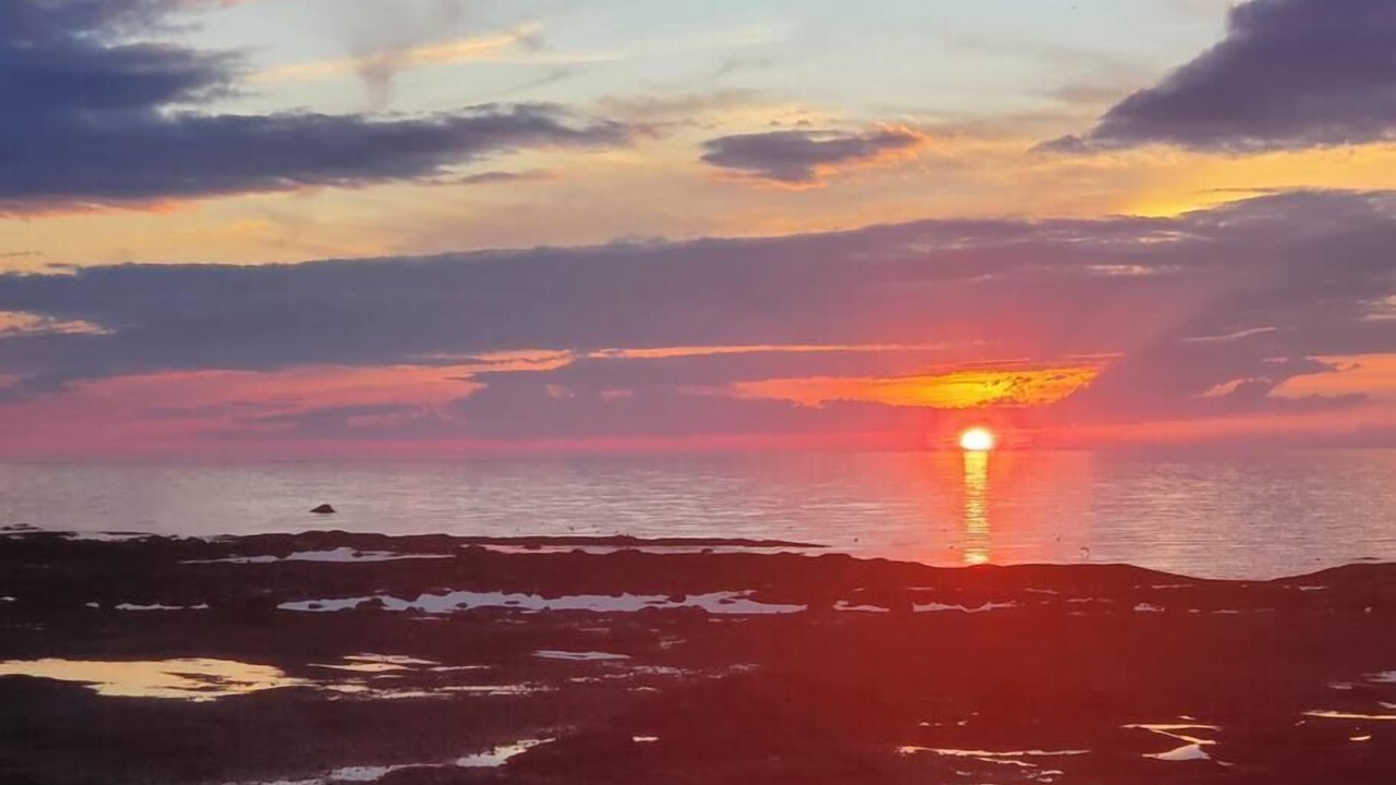 Photo of Others in Sainte-Flavie