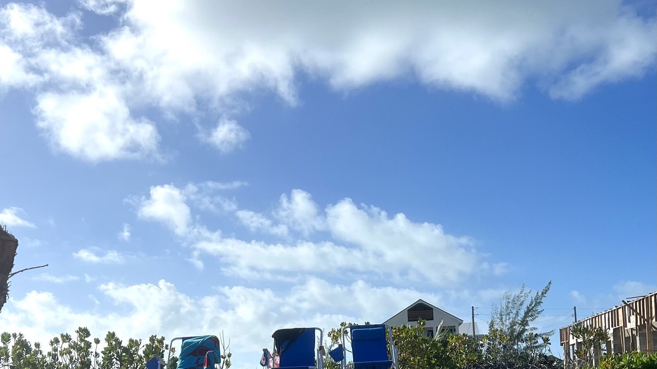 Photo of Others in William's Town