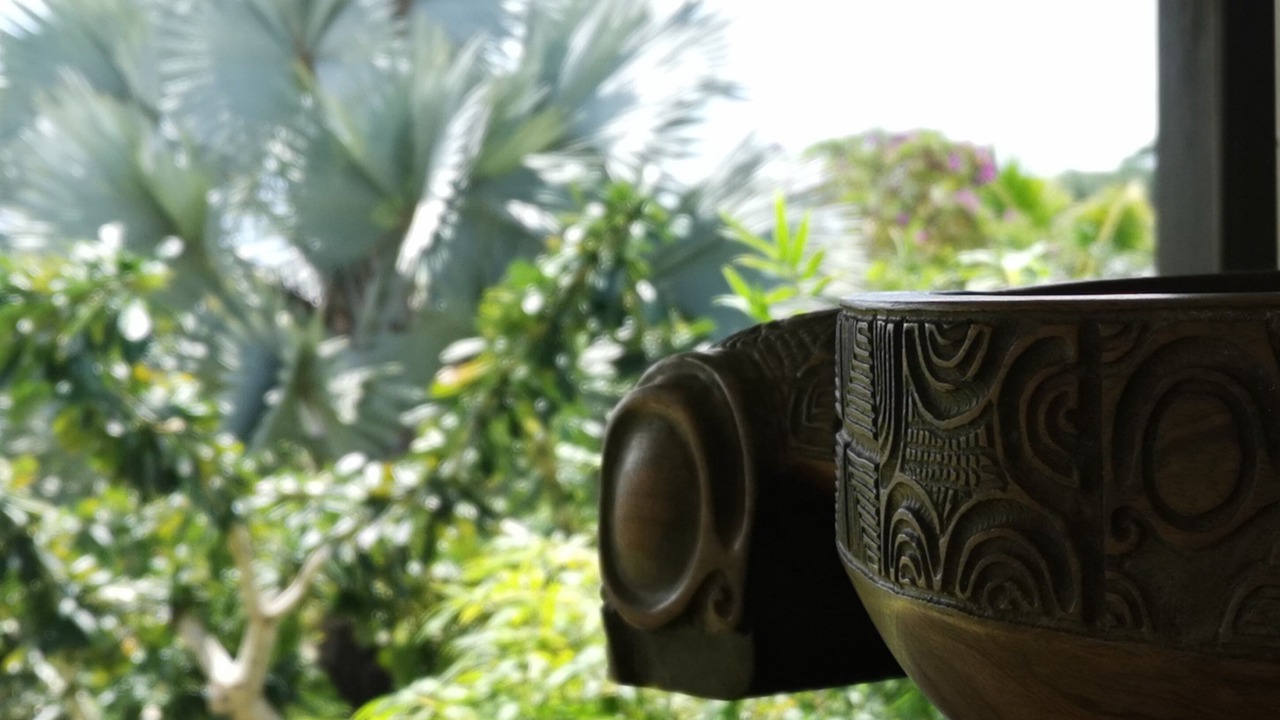 Photo of Others in Afaahiti