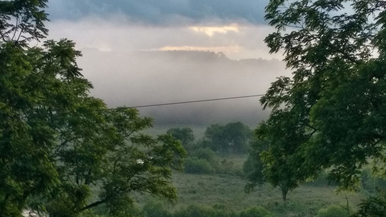 Photo of Outdoor in Woodlawn