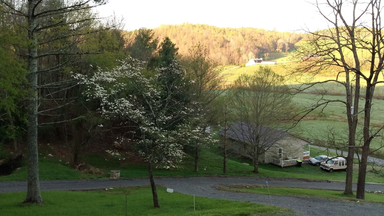 Photo of Outdoor in Woodlawn