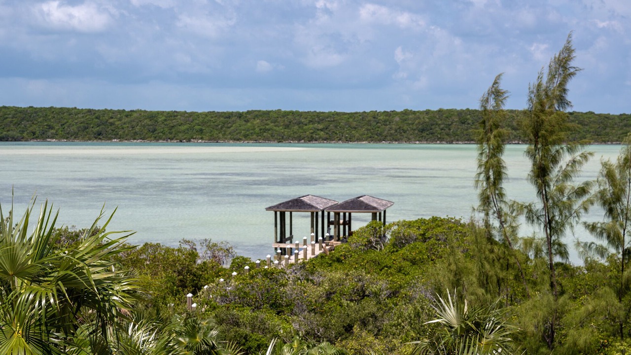 Photo of Others in Savannah Sound