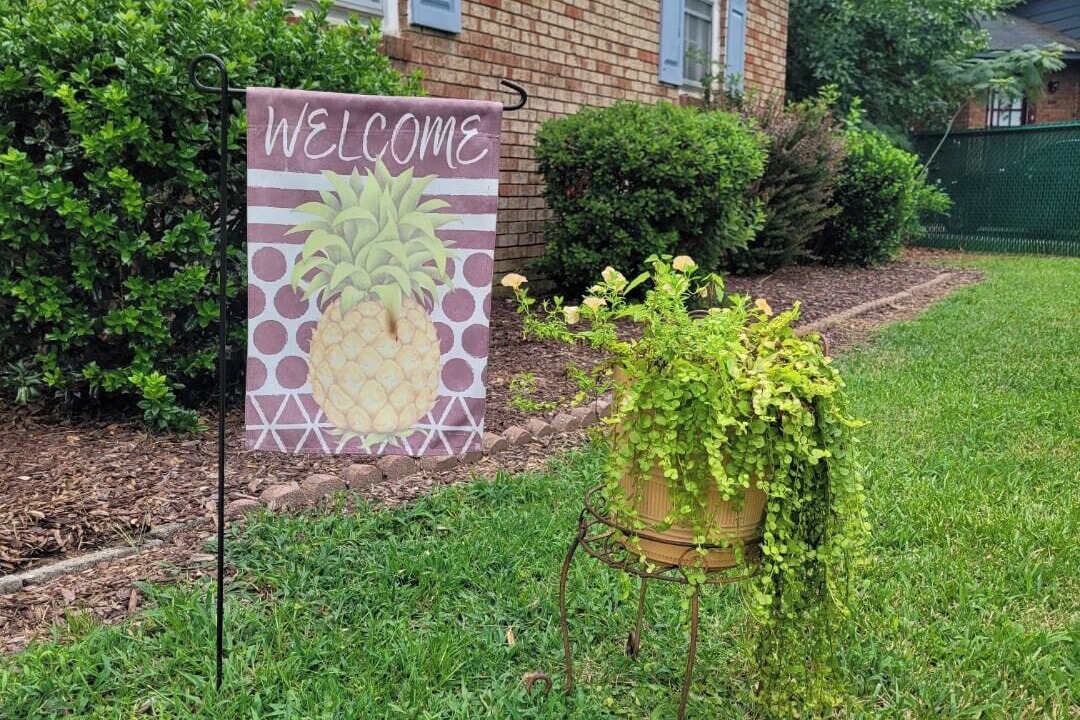 Photo of Outdoor in Rocky Mount