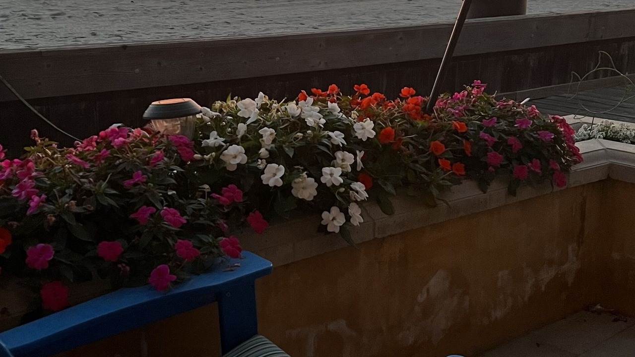 Photo of Outdoor in North Long Beach