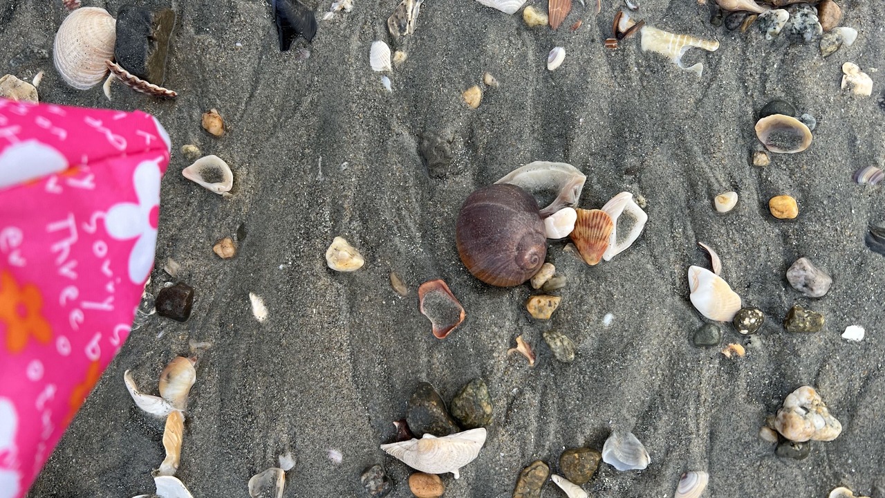 Photo of Others in North Long Beach