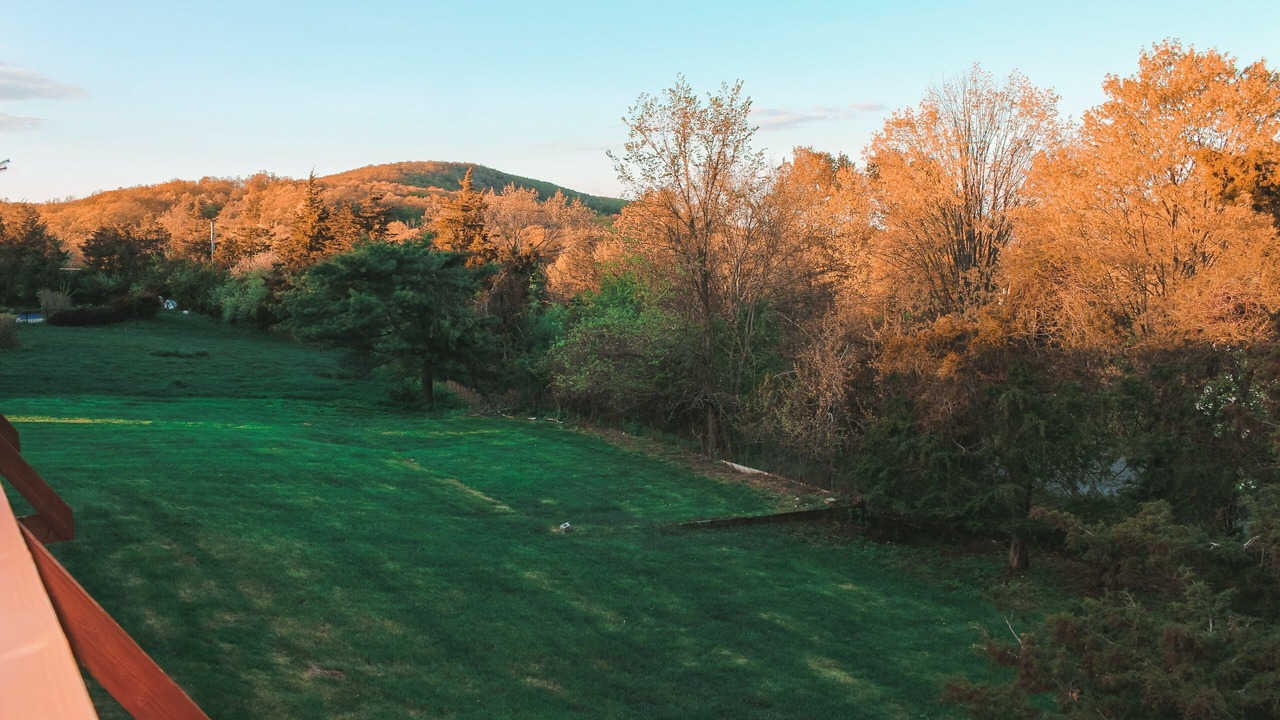 Photo of Outdoor in Chester