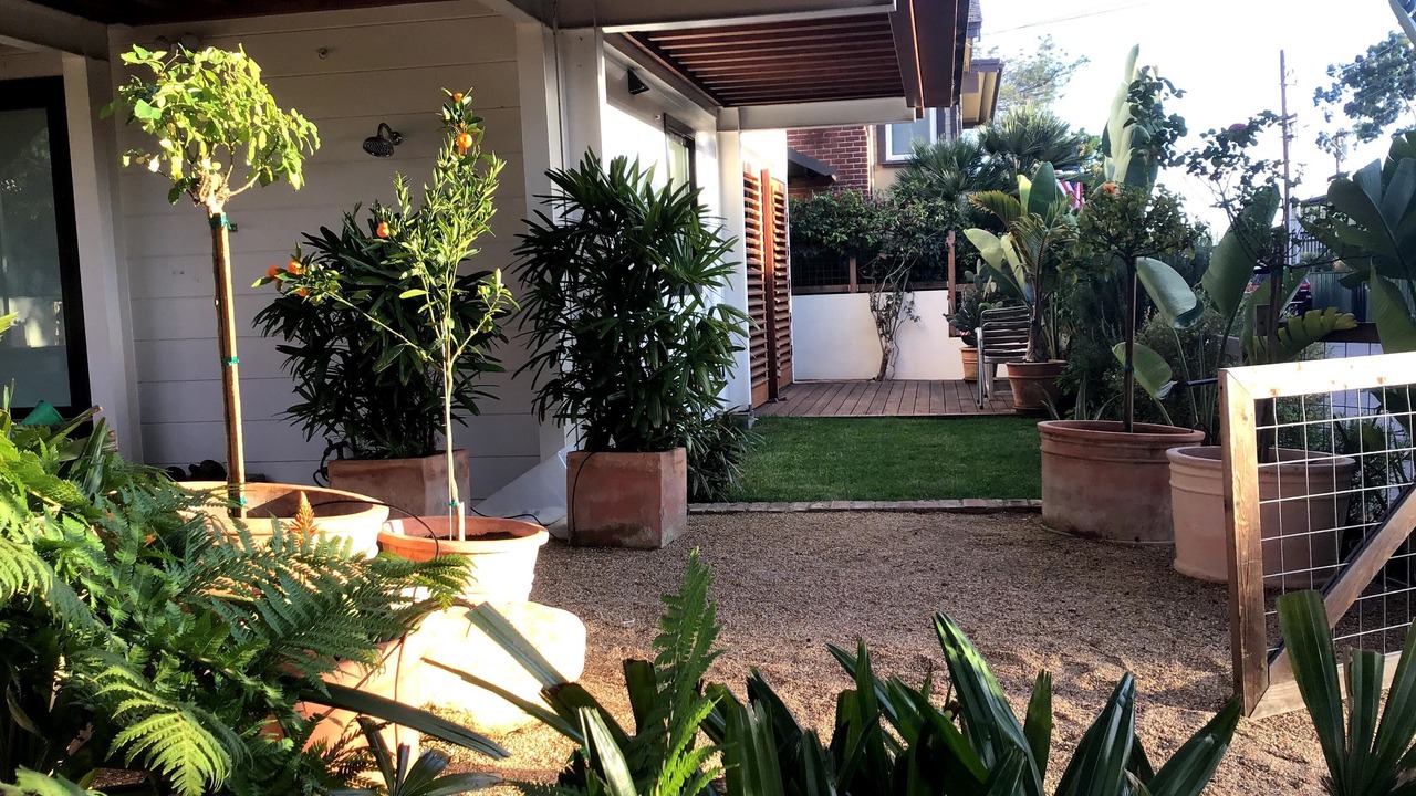 Photo of Outdoor in South Laguna