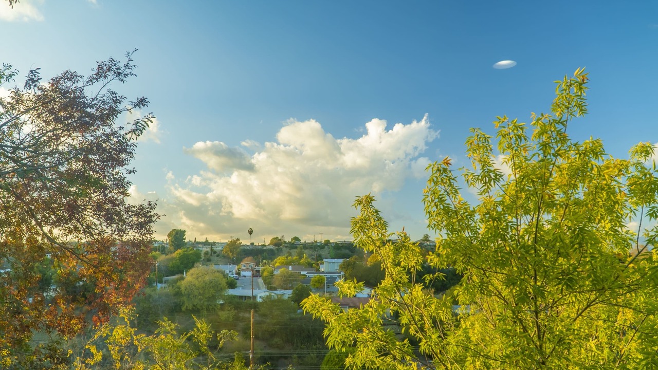 Photo of Outdoor in Monterey Park