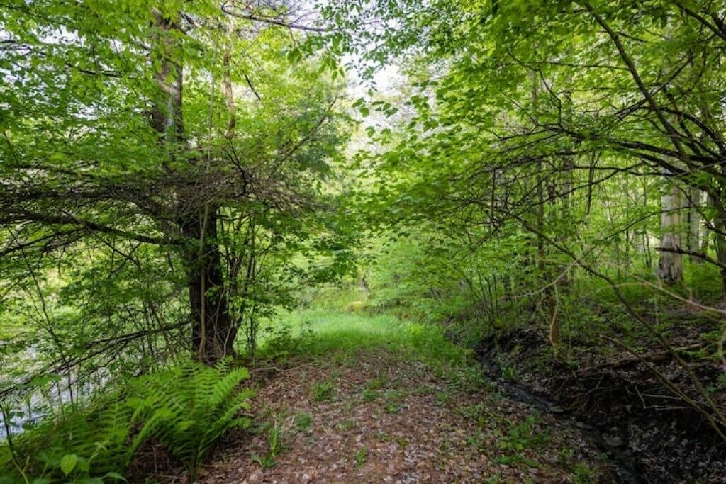 Photo of Outdoor in Black Creek
