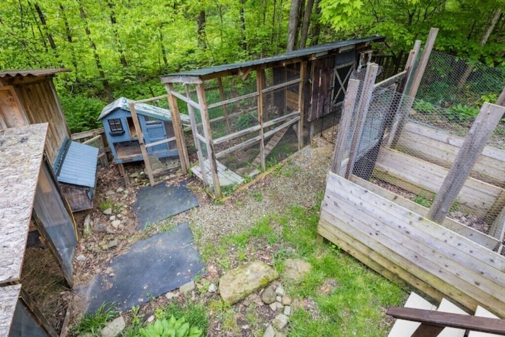 Photo of Outdoor in Black Creek