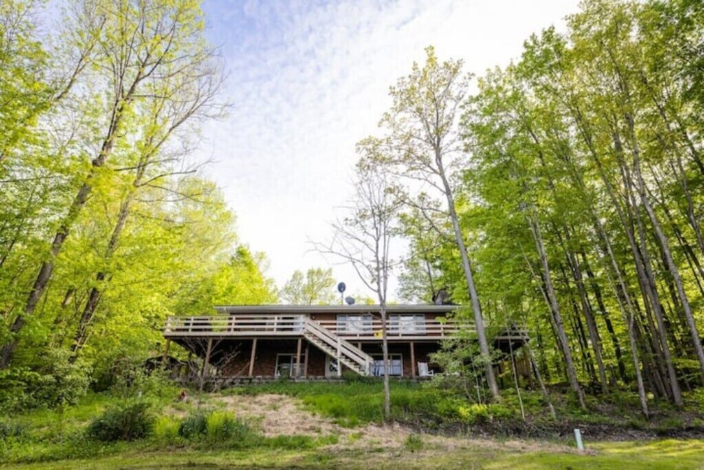 Photo of Outdoor in Black Creek