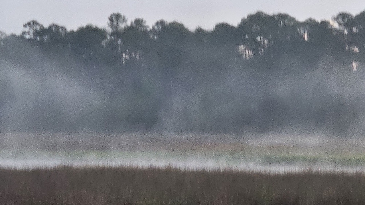 Photo of Others in Gautier