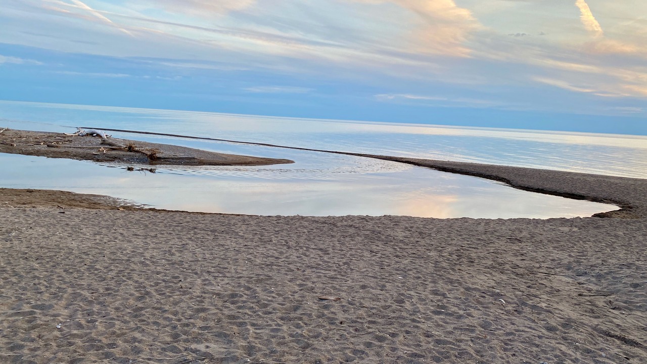 Photo of Others in Port Albert
