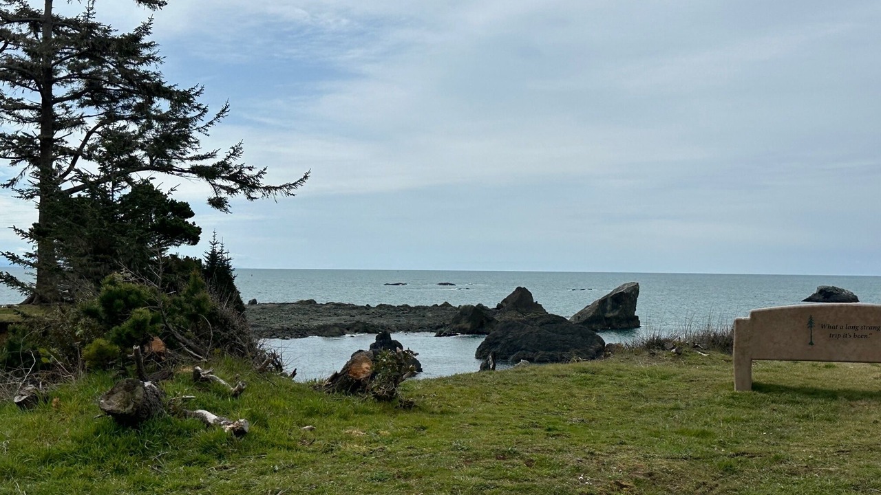 Photo of Outdoor in Crescent City North
