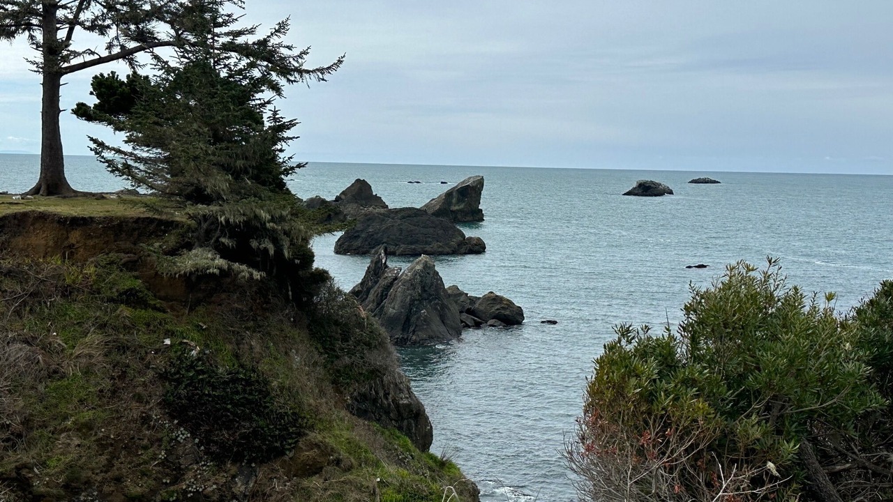 Photo of Others in Crescent City North