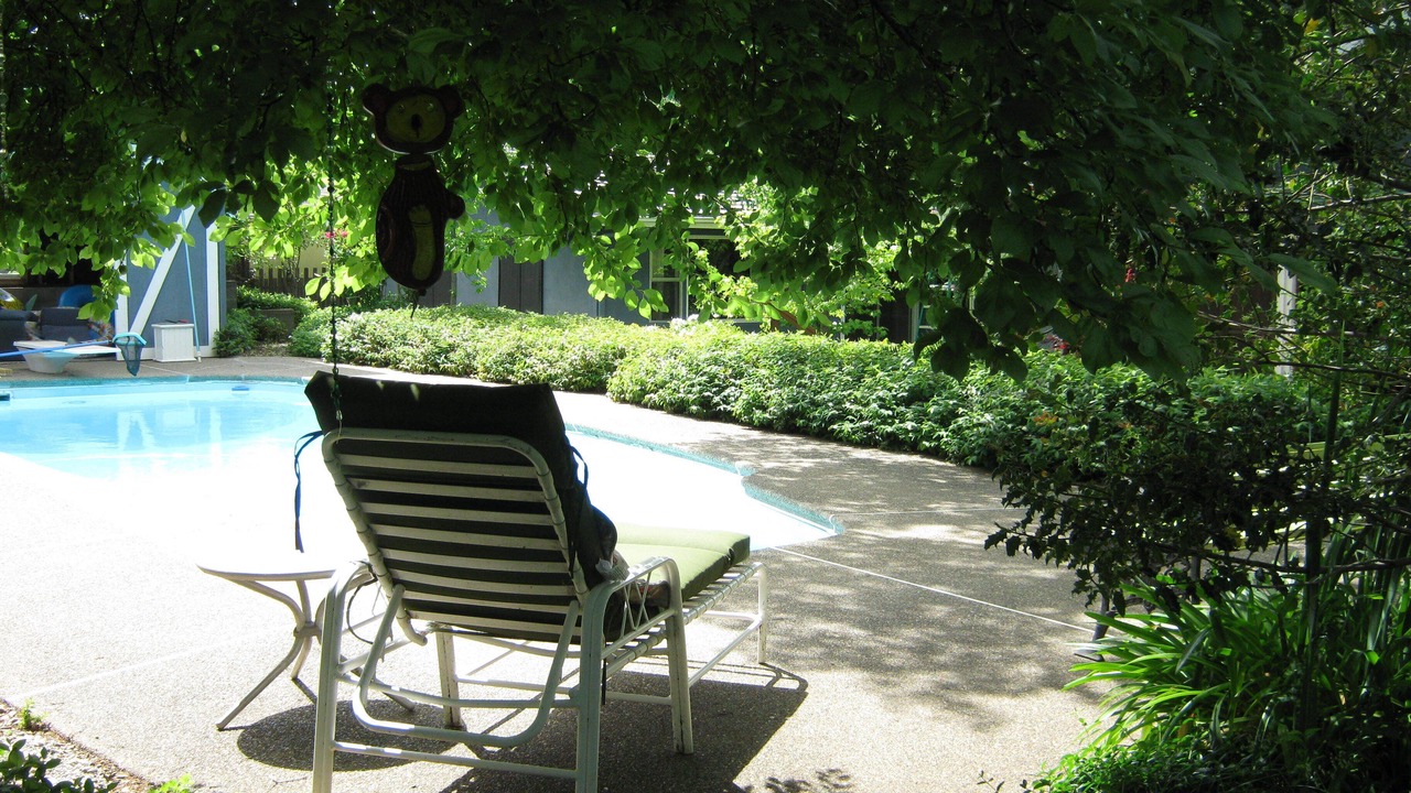 Photo of Outdoor in Mariposa