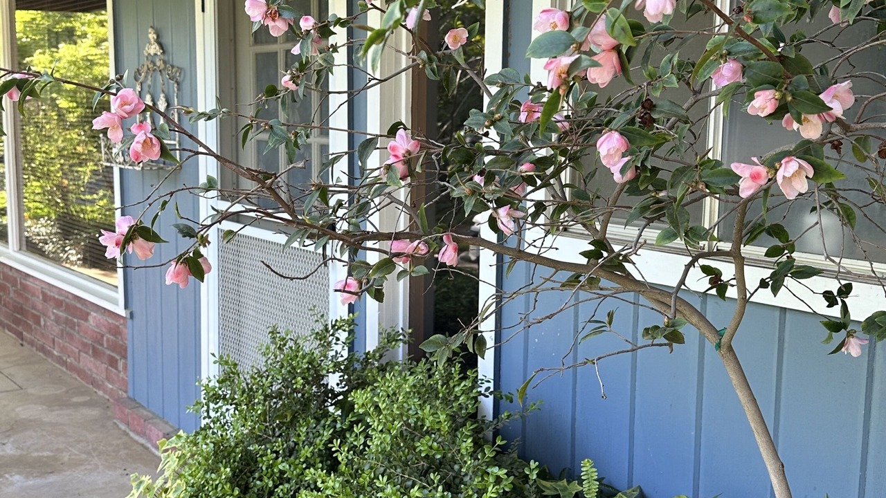Photo of Others in Mariposa