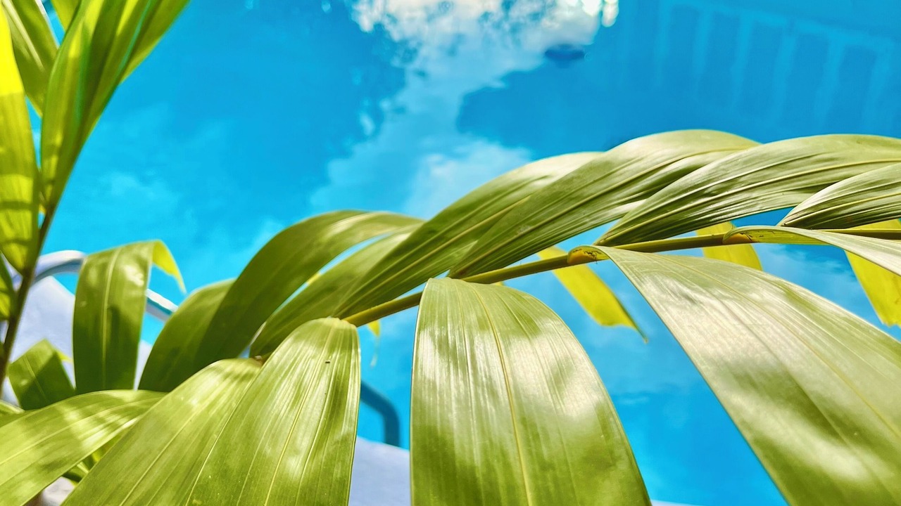 Photo of Outdoor in Punaauia