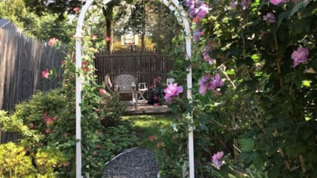 Photo of Outdoor in Lakeside