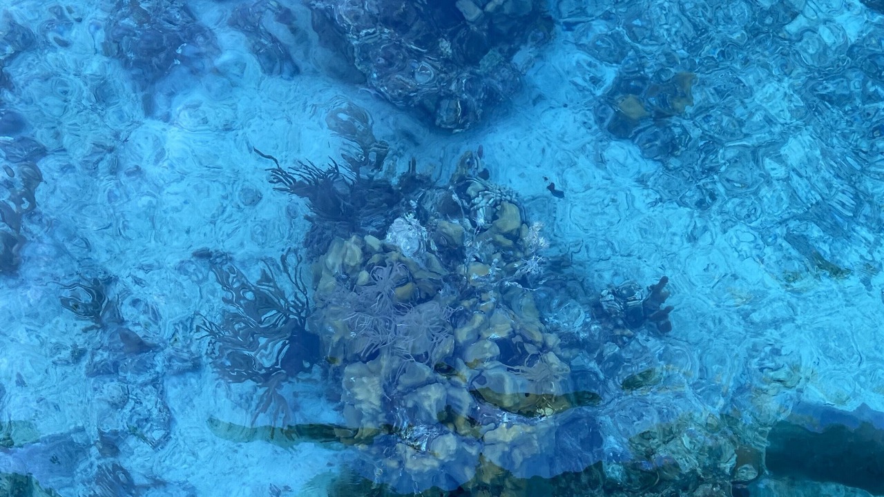 Photo of Outdoor in Great Guana Cay