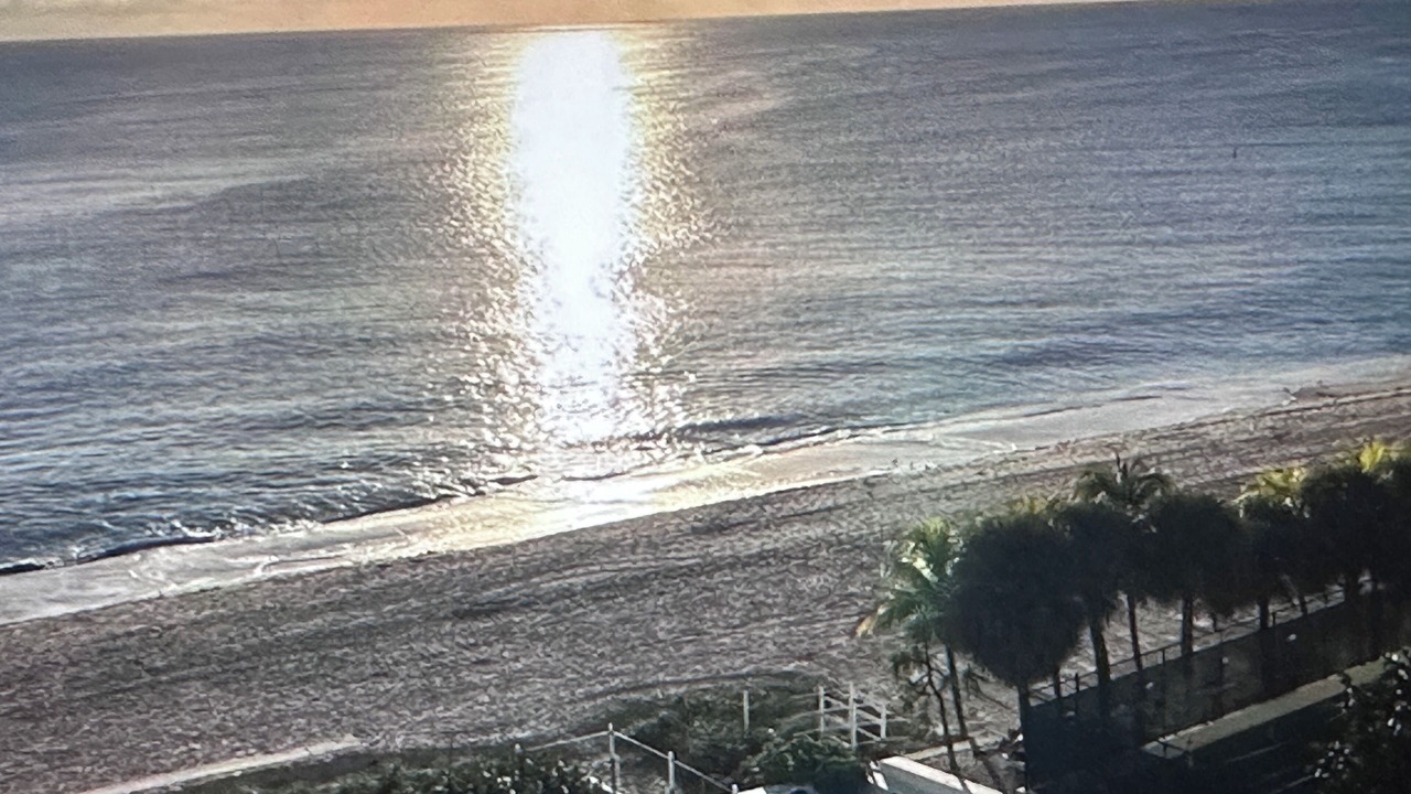 Photo of Others in Barrier Island