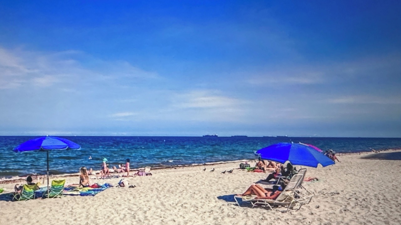 Photo of Others in Barrier Island