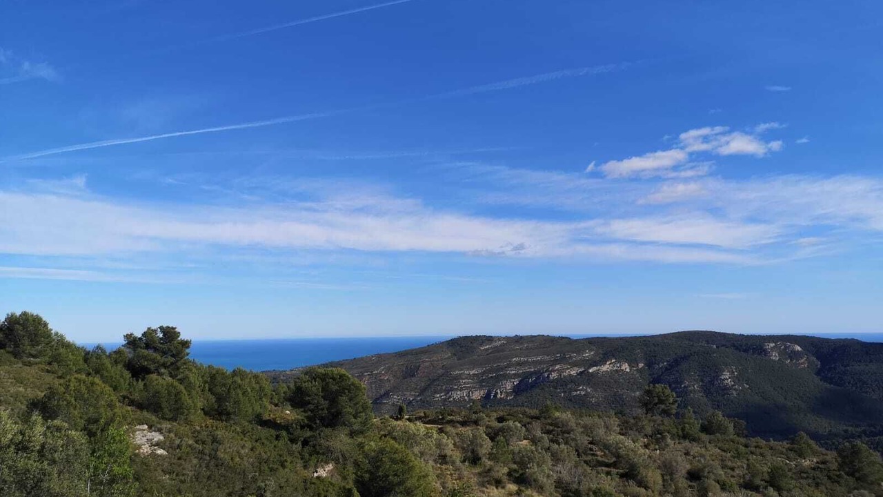 Photo of Outdoor in Cabanes