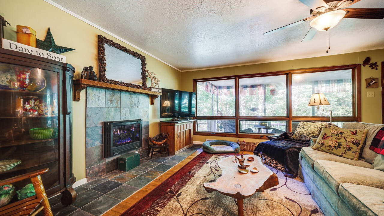 Photo of Livingroom in Sylva