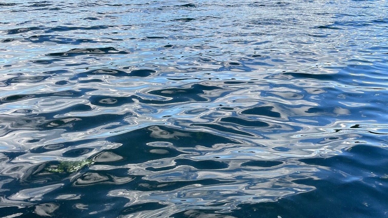 Photo of Others in Copake Lake