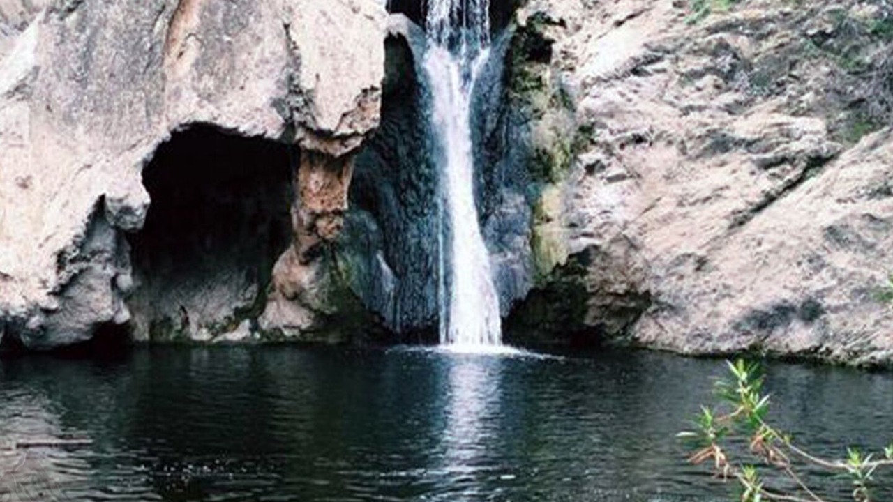 Photo of Others in Thousand Oaks