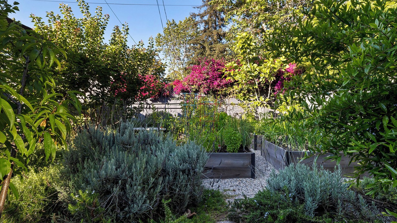 Photo of Outdoor in Mar Vista