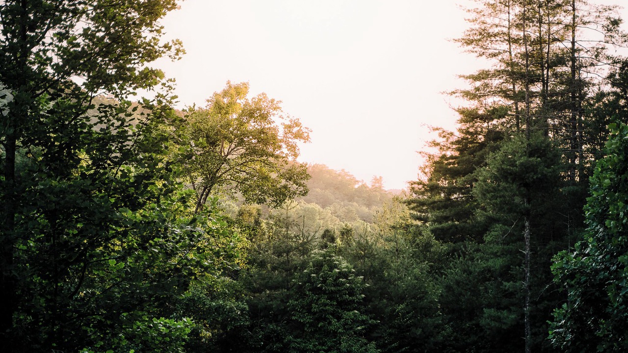 Photo of Outdoor in Penrose