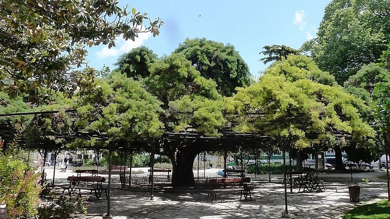 Photo of Outdoor in Santo Antonio
