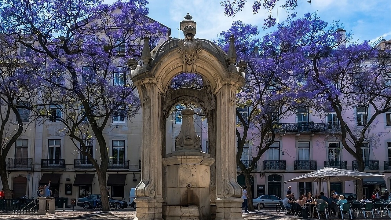 Photo of Outdoor in Santo Antonio